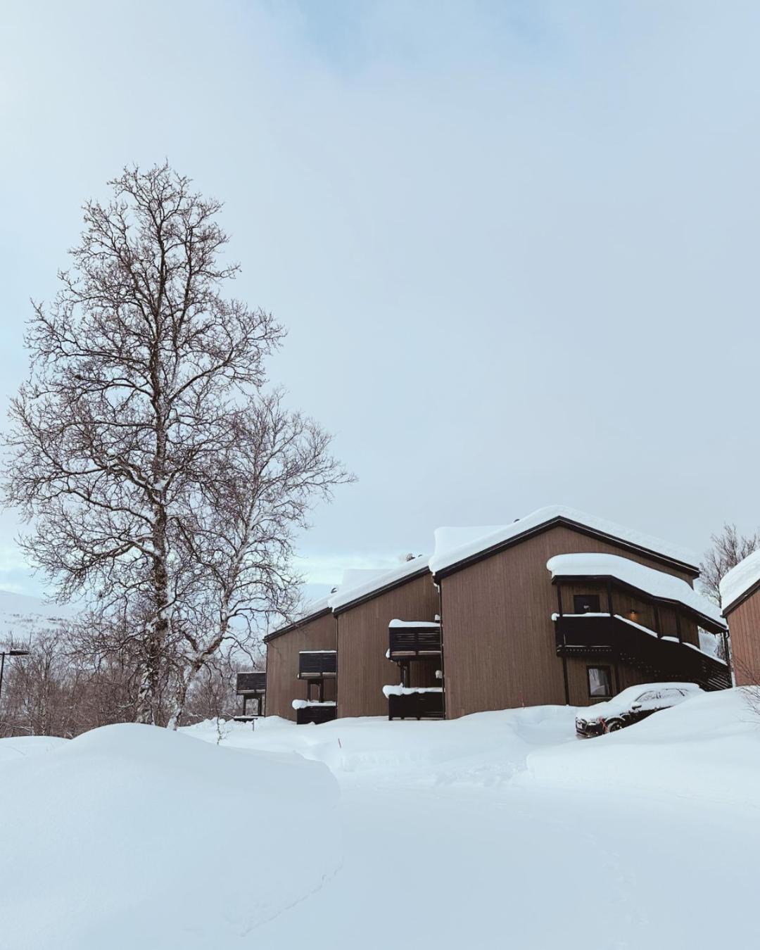 Skaidi Luxury Lodge - Heart Of The Arctic هامرفست المظهر الخارجي الصورة