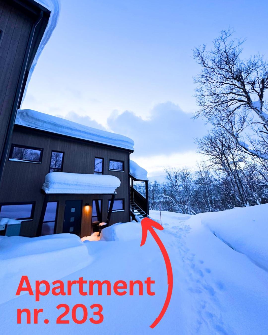 Skaidi Luxury Lodge - Heart Of The Arctic هامرفست المظهر الخارجي الصورة